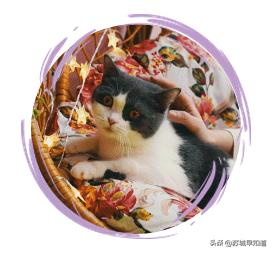 苏州市平江区万达广场,苏州平江万达广场