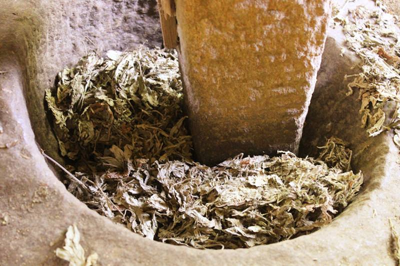 艾叶5年和1年的区别,艾叶五年陈和三年陈有什么区别