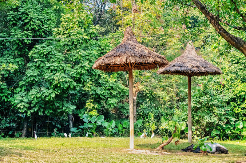 广州长隆野生动物世界旅游攻略,长隆野生动物世界攻略2-3天广州游
