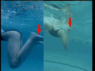 蛙泳腿部翻脚错误纠正,蛙泳在水中腿部翻脚忘记了怎么办