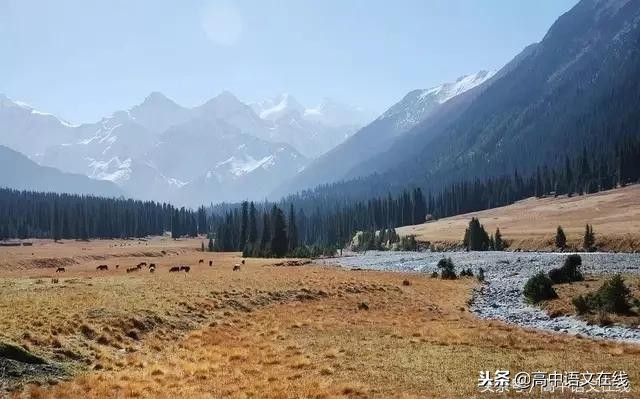 小学语文最全的标点符号的用法,小学语文最新标点符号用法