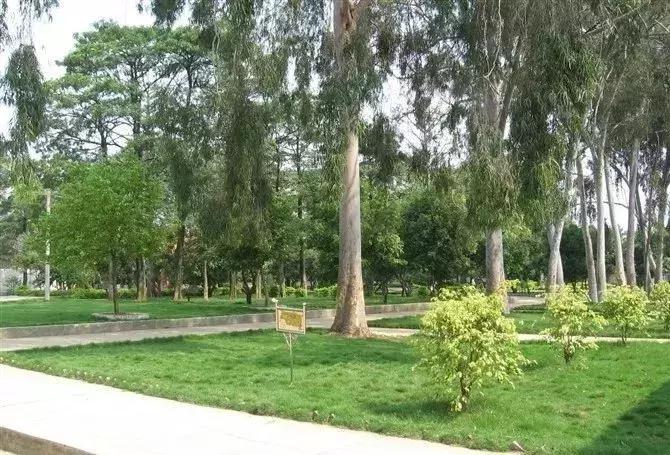 贵港新学校最新消息,贵港高中新校区新消息