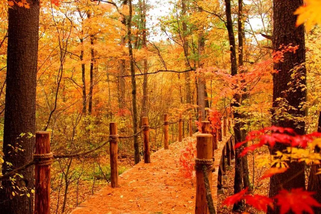 假期逛景区一大波优惠等着您,景点优惠活动视频