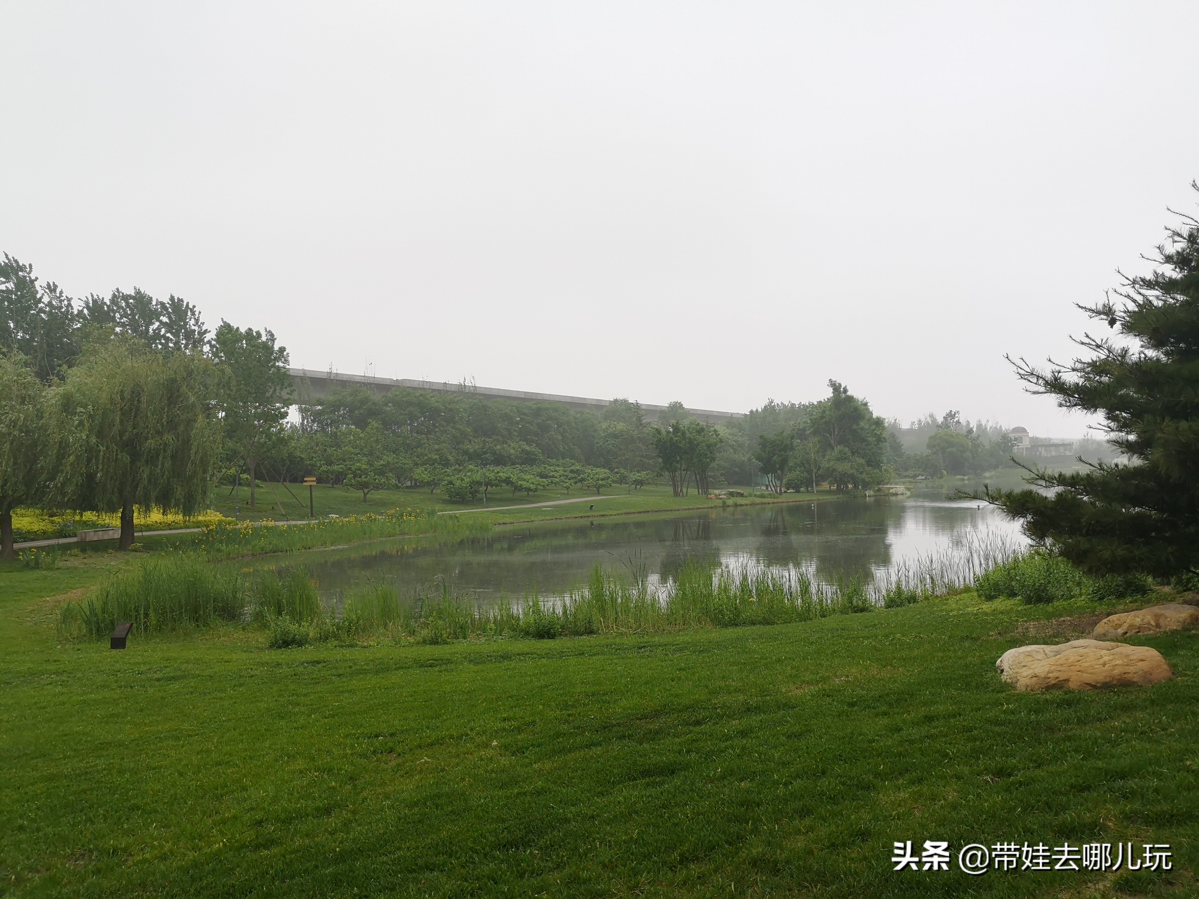 海德公园参观,北京的海德公园