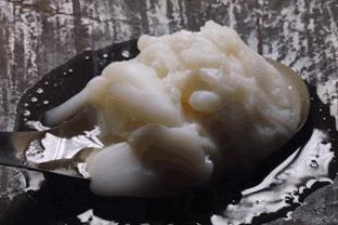 征服一个人需要多大的勇气,征服一个人需要多少勇气