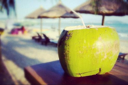 怎样挑选椰子肉厚水多,怎么挑选椰子最好