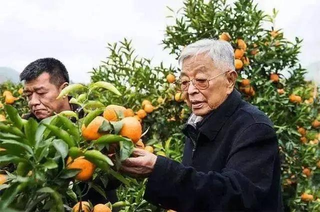 为什么大连发生宝马撞车事件，我却想到了褚时健？