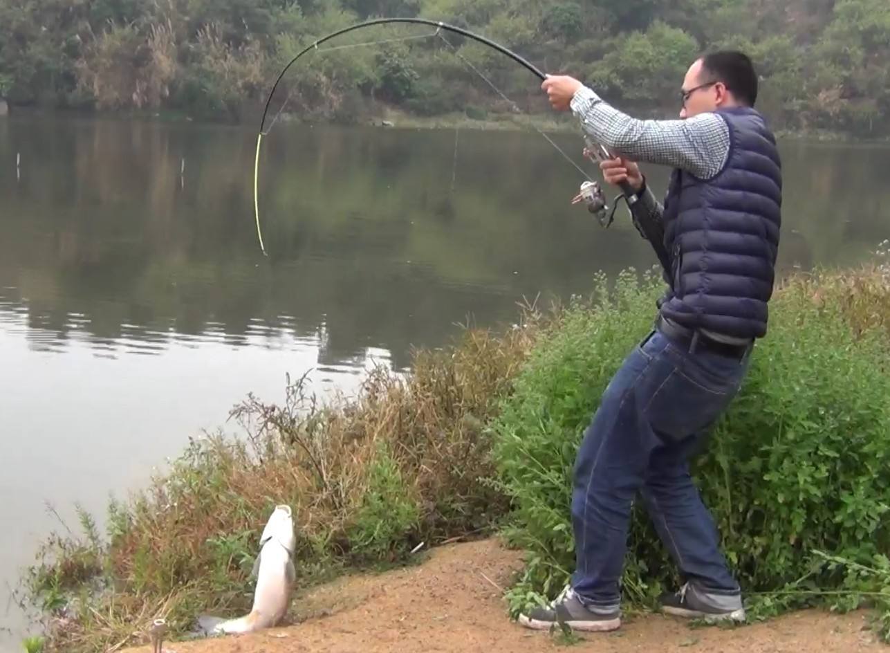 野钓鲫鲤通杀饵料配方大全,鲤鲫野钓饵料配方