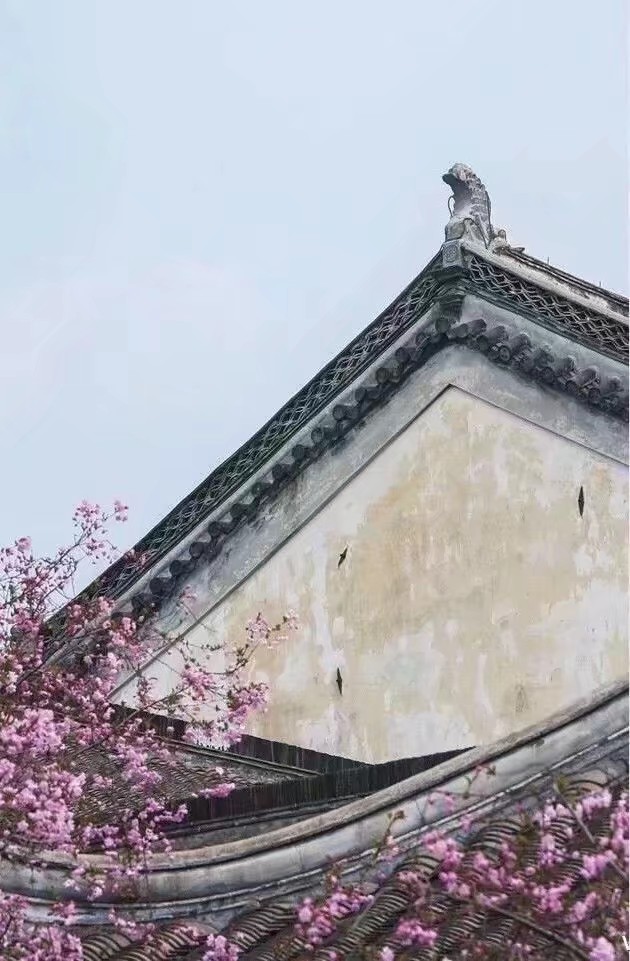 鍘熷垱鑸炶箞钀借姳,纰庡奖鍘熷垱