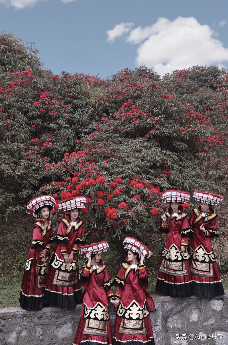 百里杜鹃花开如海,百里杜鹃百里盛开