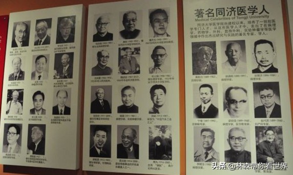 林森完整版免费观看,林森完整视频