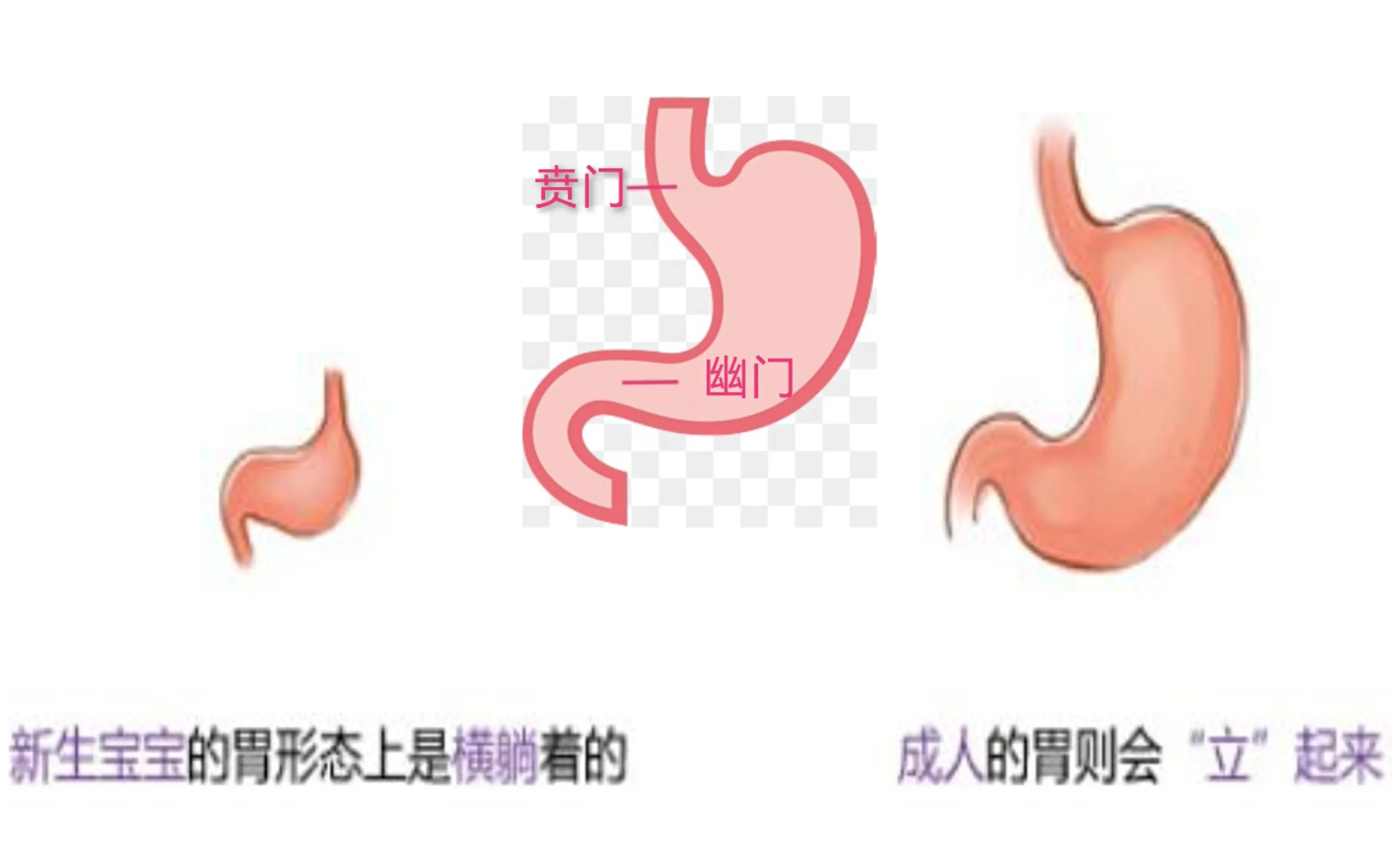 新生儿溢奶、打嗝、黄疸等常见的生理现象，新手爸妈如何应对？