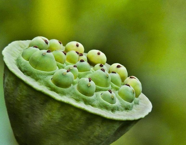 高僧说：人在红尘，这三件事看破别说破，才是真正地解脱，我懂了