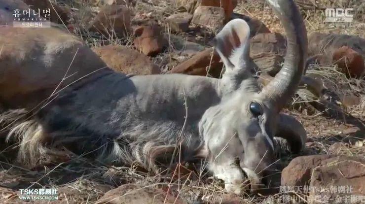 9.4分韩国催泪电视剧,韩国十部9.5评分催泪电影
