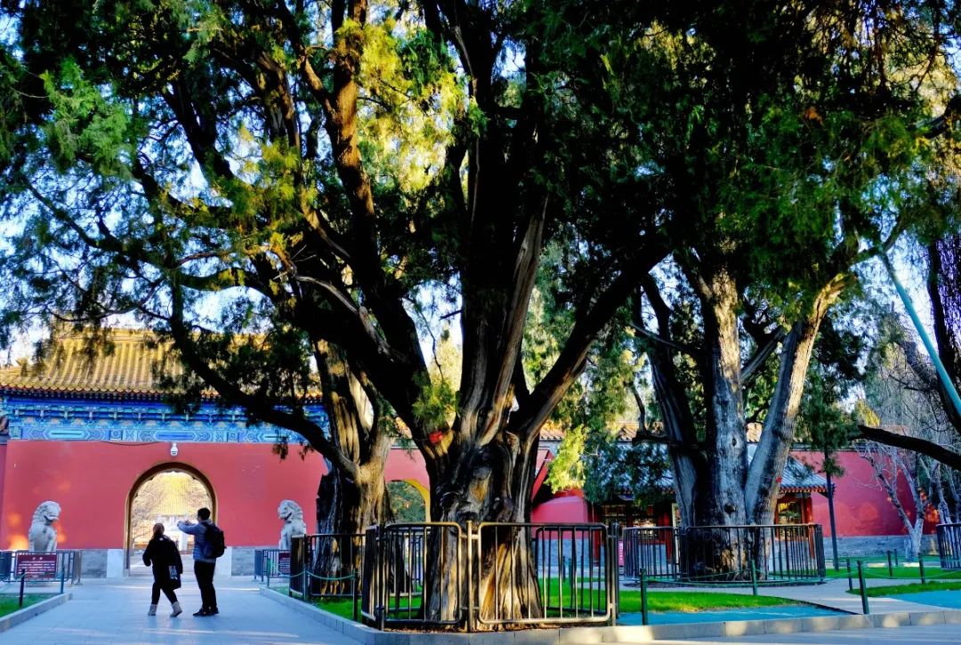 出行安全宝典,北京旅游安全攻略