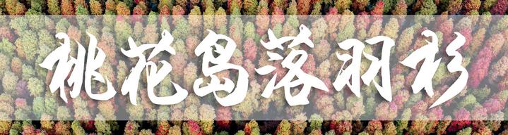 星湖冬日燃情，比落羽杉还要红的是什么？#我和湿地有个约会#