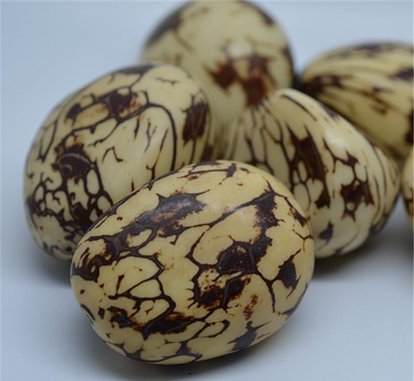 我的爱好之一是的英语,我的爱好之一是弹钢琴用英语怎么说