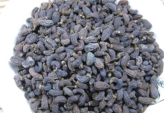 黄芪女贞子,女贞子鉴别方法