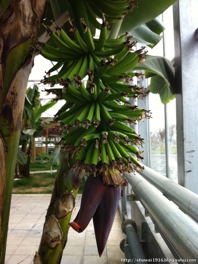 楼观台道教圣地,陕西第一福地楼观台