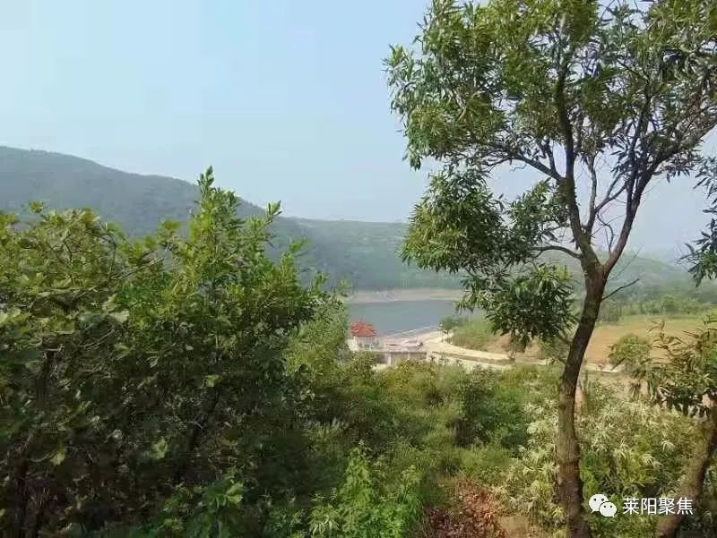 莱阳市御龙湾地址,莱阳御龙湾哪年开始建