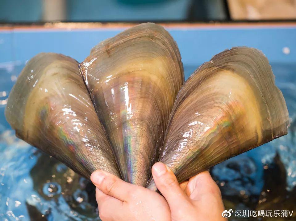 宝安人的顺德饭堂，生蚝用木桶蒸，还加黑松露
