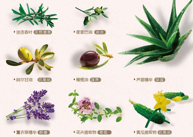 秋季新款洗发水大测评,十大防脱洗发水法国