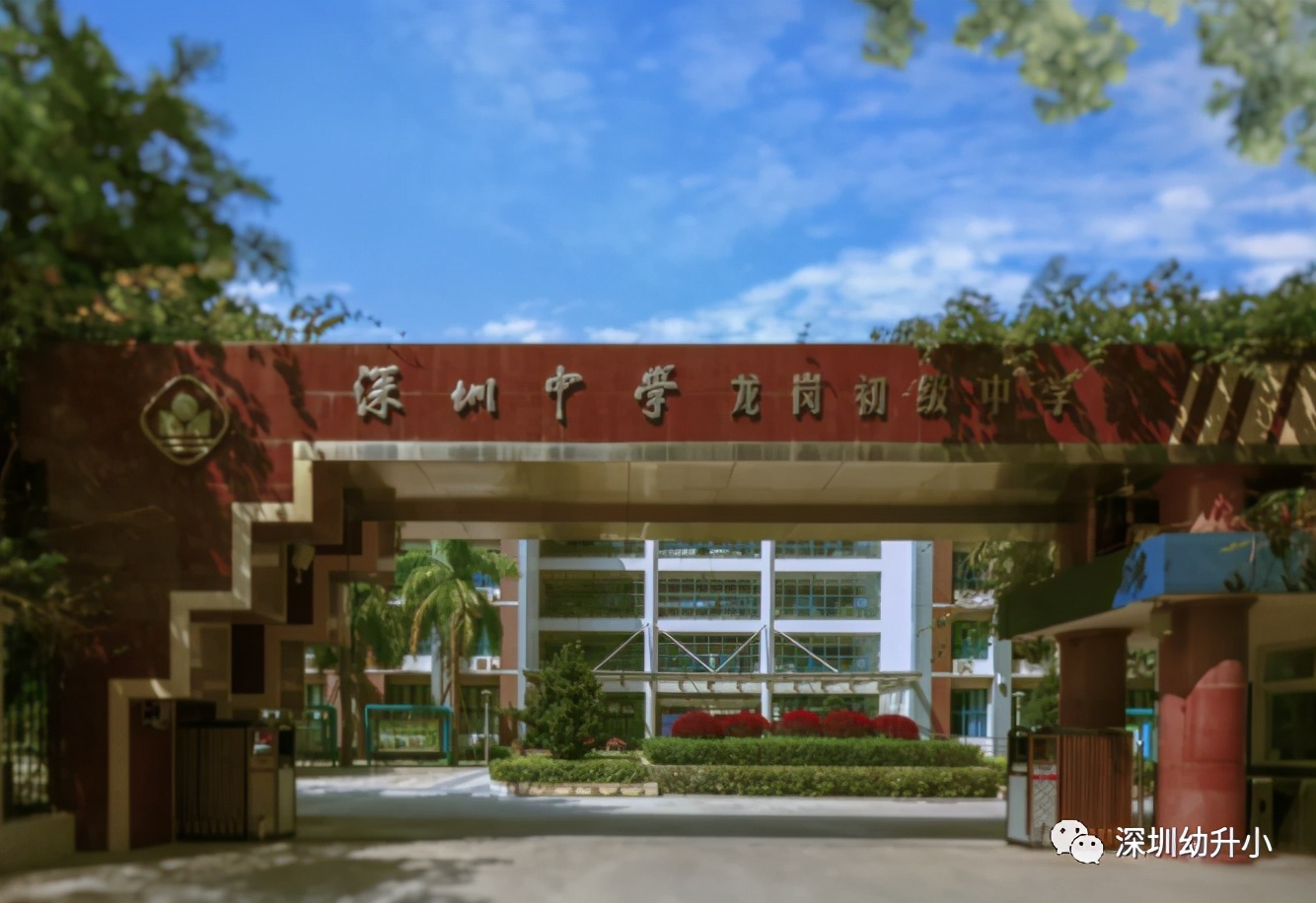 王炸组合第一,高考王炸组合哪三科