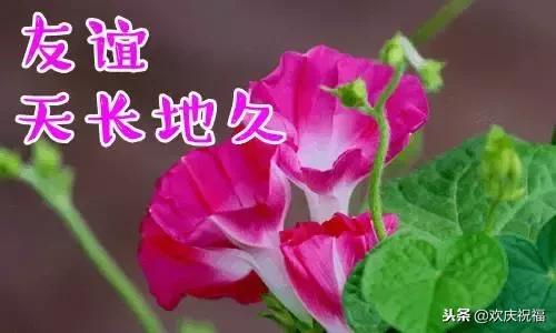 新年微信祝福贺卡,以微信为主题的新年贺卡