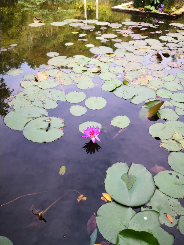 学校挣钱的门道,物业挣钱的门道