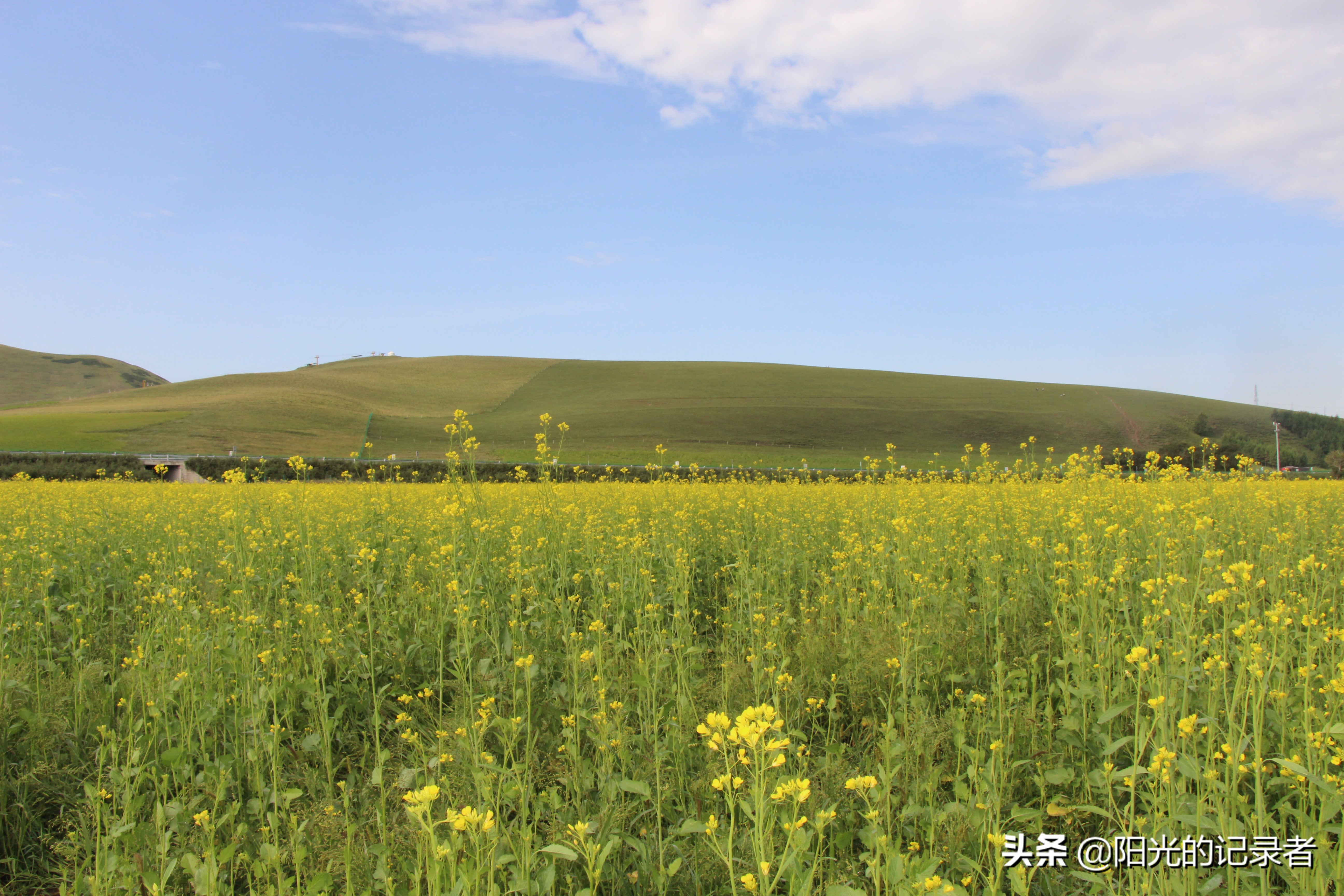 丰宁坝上草原哪几个免费景点必去,丰宁坝上景点冬天推荐