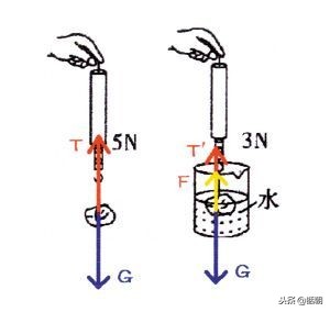 初中物理浮力知识点全归纳,初中物理油的浮力和水的浮力