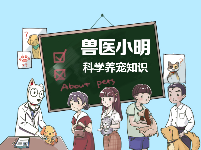 狗狗憋尿时间最好不超过多久,狗狗一直憋尿有危害吗