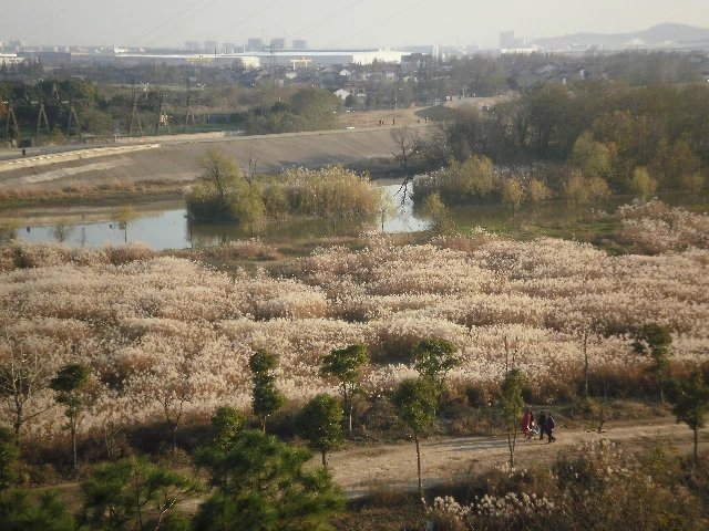 李白说的天门山是哪个天门山,李白望天门山是今天哪里