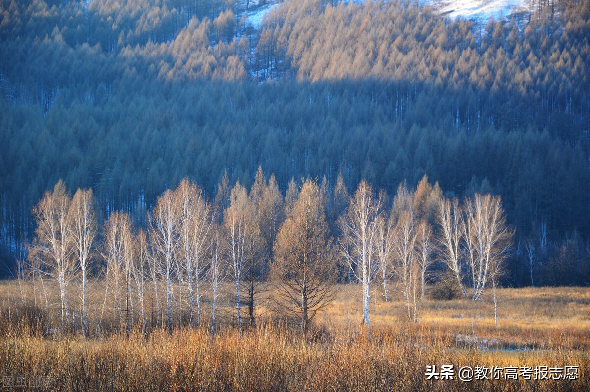 北京林业大学薪资,北京林业大学毕业生就业薪资