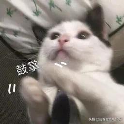 深挖吉大慧谷新校长“底细”！看看要把慧谷打造成什么样的学校？