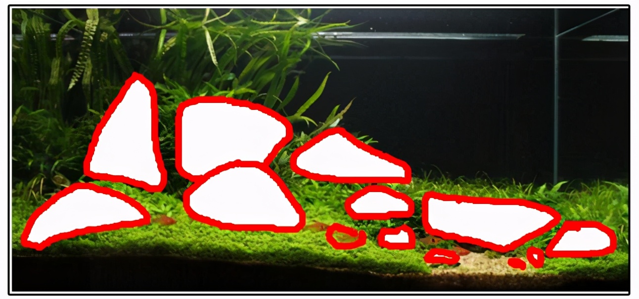 三角形构图水族造景,水族造景构图黄金比例