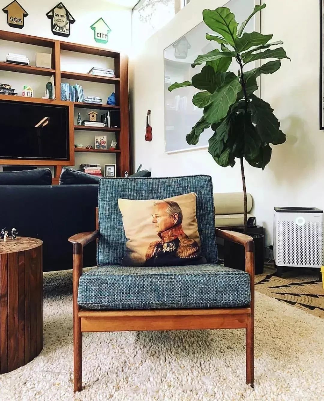 装饰高级感家里绿植推荐,室内装饰花卉及盆景植物