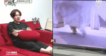 韩国追什么中国剧,在韩国看中国剧