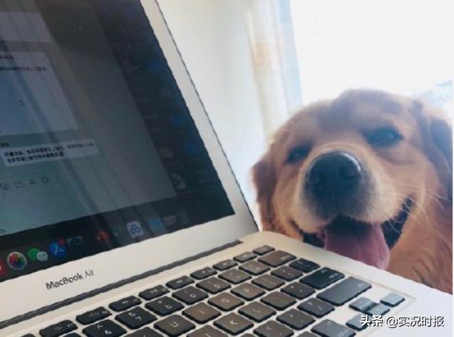 昨天，有两亿人实现了“躺着赚钱”...