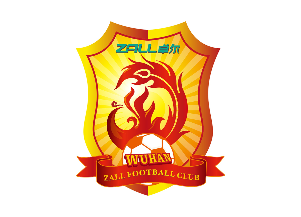 中国足球队历届队徽,中国足球队历年队徽变化