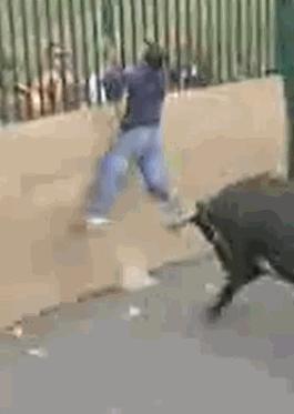 被牛角顶了是什么感觉,被牛角顶了是什么样