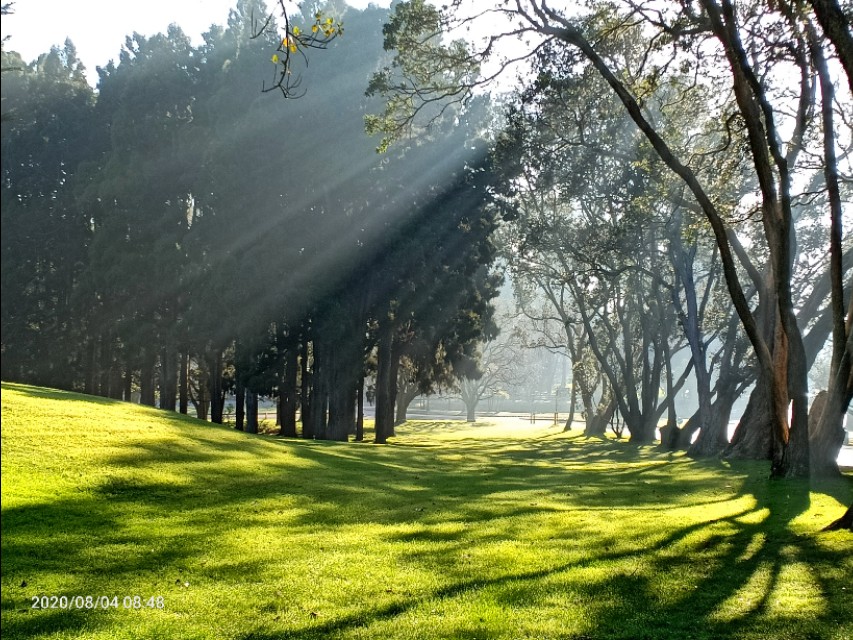 一树山,我的精神家园