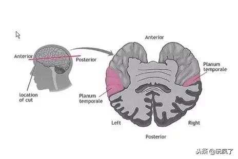 孩子太笨看不懂书,孩子太笨不会写字