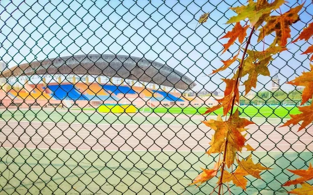 辽宁省高等院校分布图,辽宁省高考报考沈阳航空航天大学