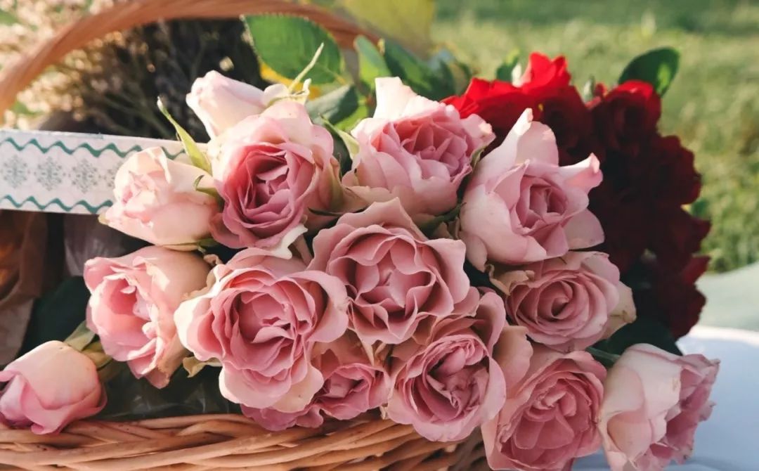 本周运势11.1-11.7水逆,10月份运势水逆