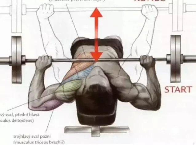 健身胸肌不均衡怎么办,两侧胸肌不均衡