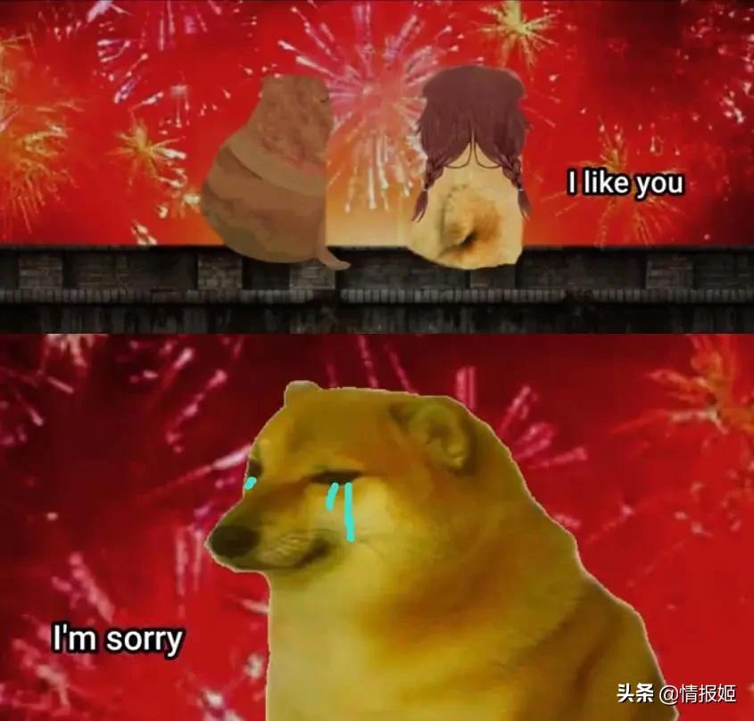 被做成表情包的柴犬doge,doge柴犬表情包万恶之源