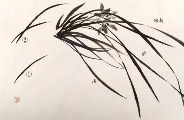 如何画兰花图片大全大图,怎么样画兰花才能好看