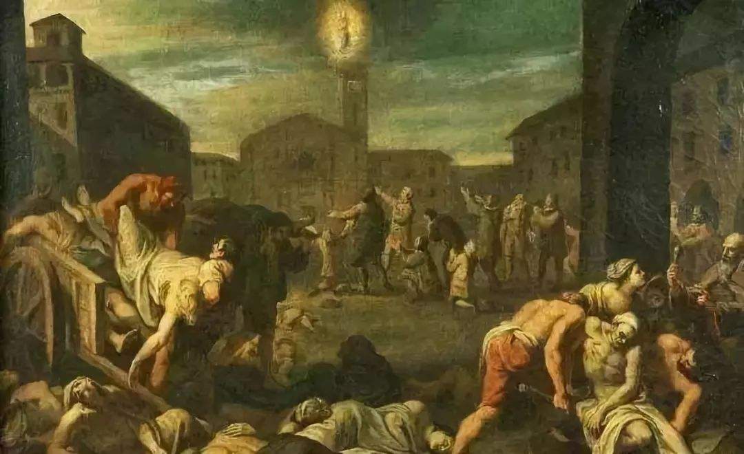 澳大利亚鼠灾泛滥引进猫,猫咪对抗鼠灾