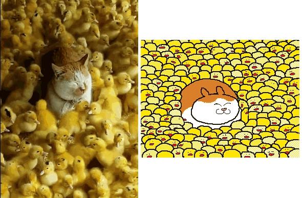 朋友圈九宫格喜感视频,开心到模糊的搞笑动图